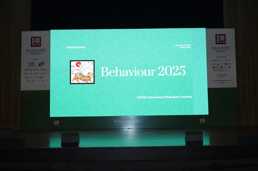 BEHAVIOUR 2025 production detail
