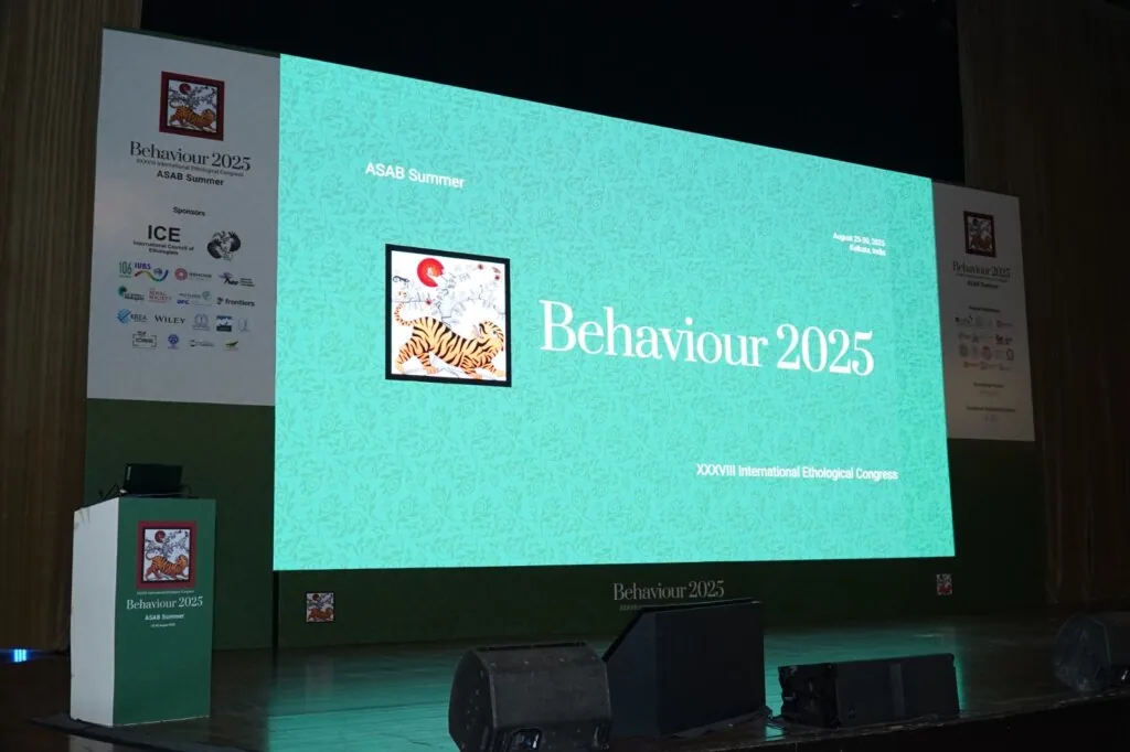 BEHAVIOUR 2025 production detail